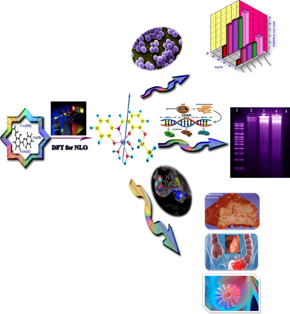 Design and nonlinear optical properties (NLO) using DFT approach of new chelates for DNA interaction, antimicrobial, anticancer activities and molecular docking studies