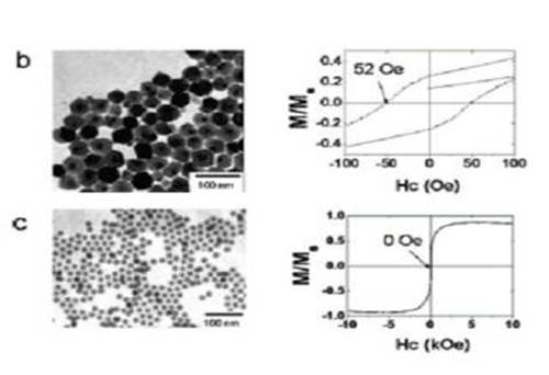 A Simple and Reliable Synthesis of Superparamagnetic Magnetite Nanoparticles by Thermal Decomposition of Fe(acac)3