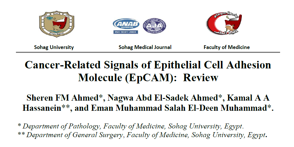 Cancer-Related Signals of Epithelial Cell Adhesion Molecule (EpCAM): Review