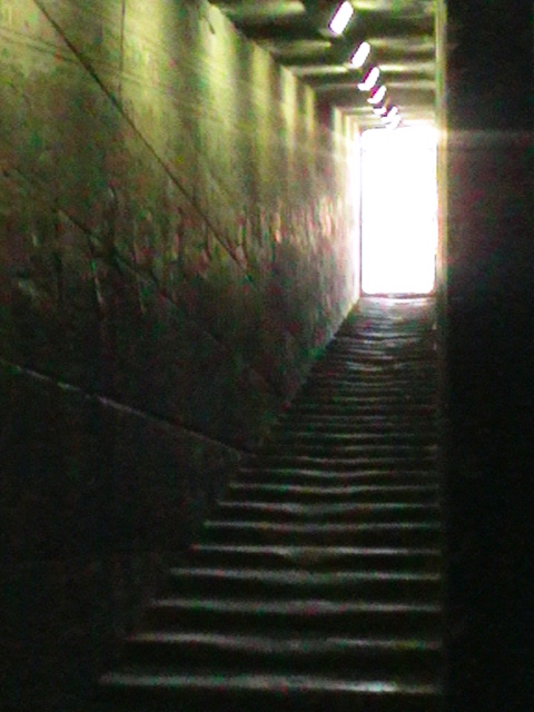 دبلوم الآثار المصرية الفرقة الأولى