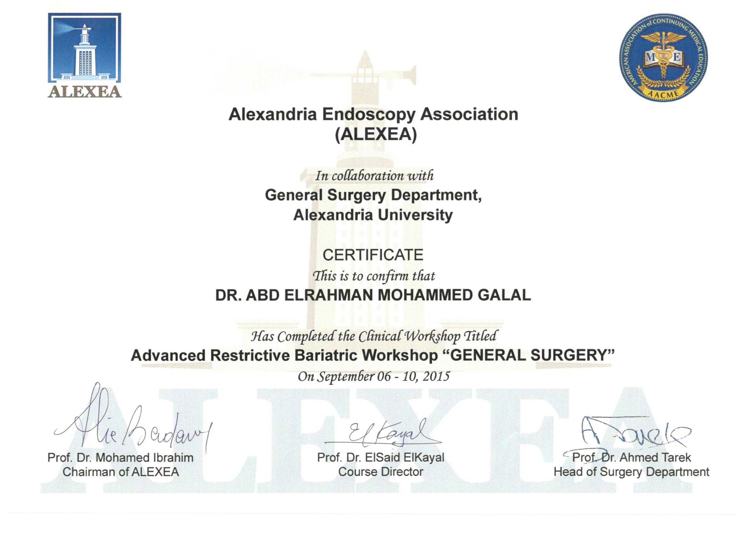 Advanced Restrictive bariatric surgery workshop