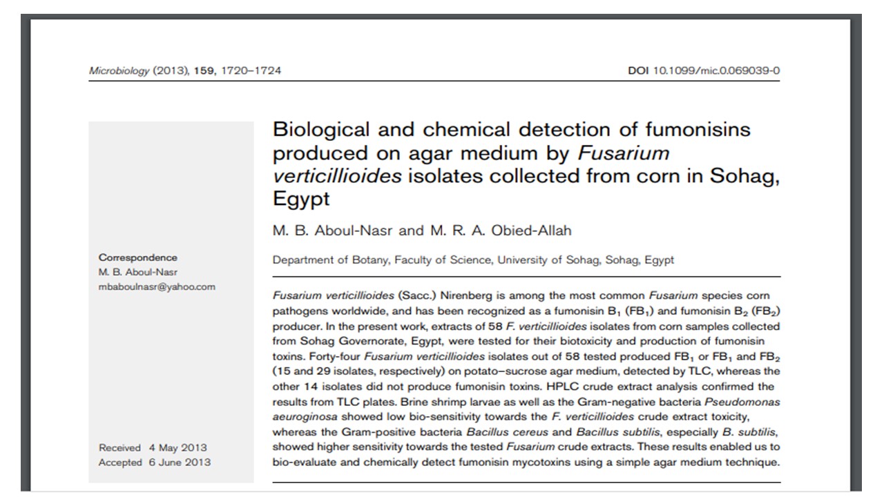 Biological and chemical detection of fumonisins produced on agar medium by Fusarium verticillioides isolates collected from corn in Sohag, Egypt.