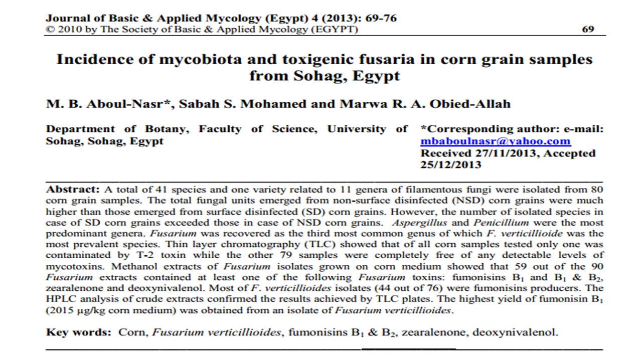 Incidence of mycobiota and toxigenic fusaria in corn grain samples from Sohag, Egypt