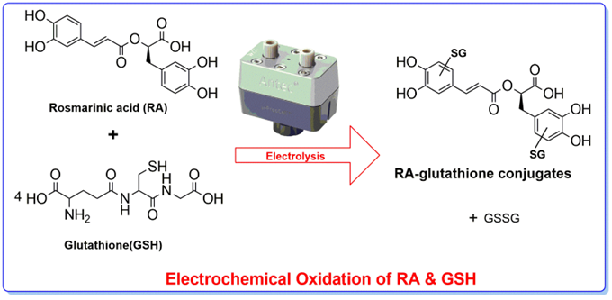 Identification of adducts between oxidized rosmarinic acid and glutathione compounds by electrochemistry, liquid chromatography and mass spectrometry
