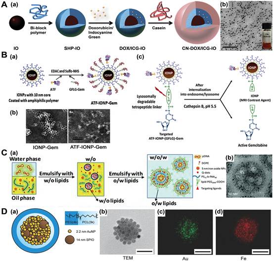 Functionalization of Magnetic Nanoparticles for Drug Delivery