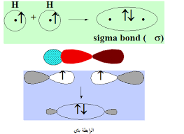 العناوين الرئيسية للمحاضرة التاسعة للفرقة الأولى تربية كيمياء وأحياء