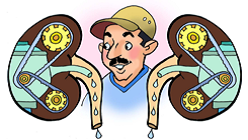 دورة تدريبيه