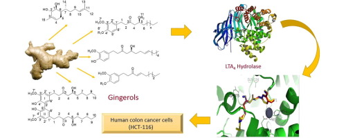 Synthesis, docking, cytotoxicity, and LTA4H inhibitory activity of new gingerol derivatives as potential colorectal cancer therapy