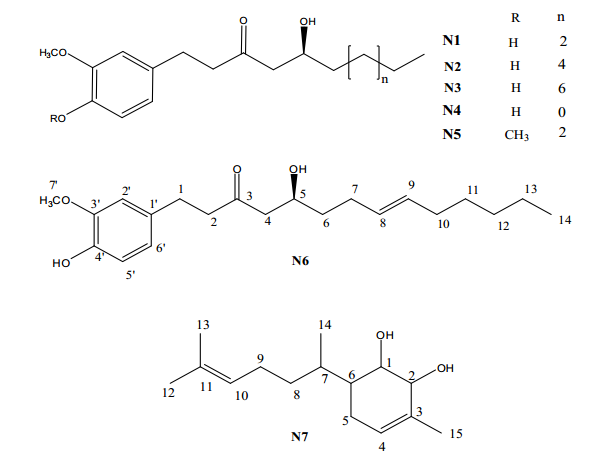 New Gingerol Derivative and Other Related Compounds from Zingiber officinale