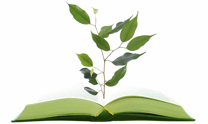 المؤتمر الدولي الثالث لكلية التربية جامعة سوهاج بعنوان " التعليم الأخضر والتنمية المستدامة"