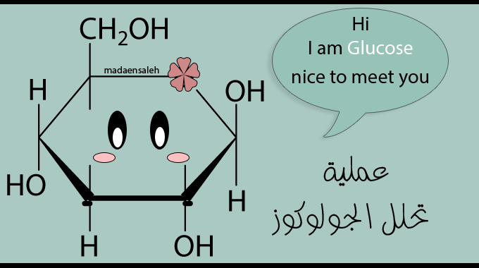 الكيمياء الحيوية