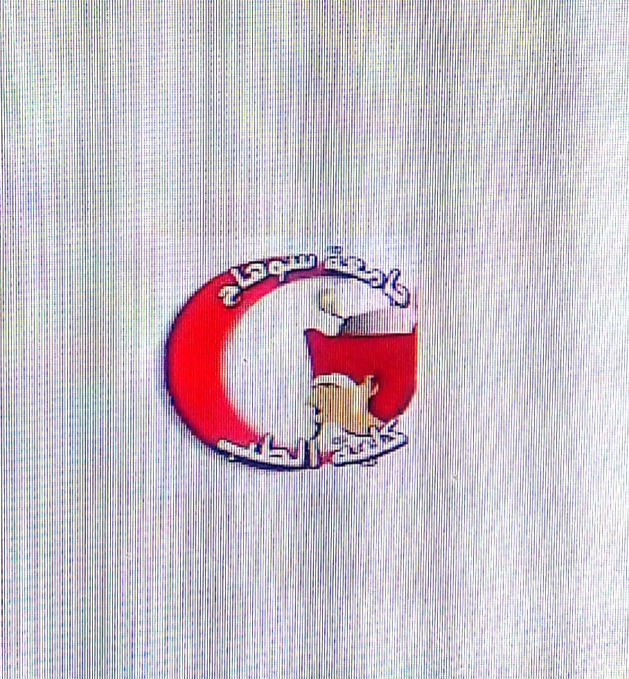 Pattern of Genital Anomalies in Male Infants in Sohag Governorate.