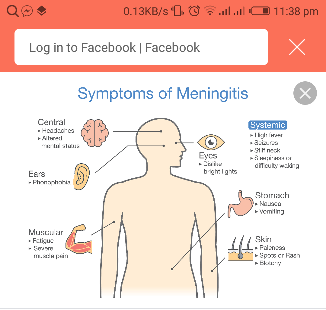 Recent Advances in the Pathophysiology of Meningitis in Children