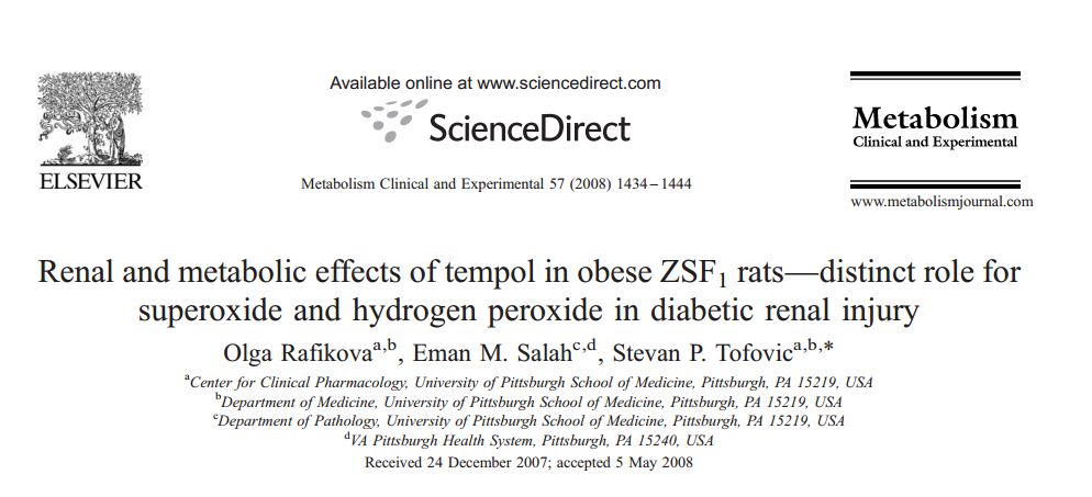 Renal and metabolic effects of tempol in obese ZSF1 rats--distinct role for superoxide and hydrogen peroxide in diabetic renal injury