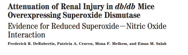 Attenuation of renal injury in db/db mice overexpressing superoxide dismutase: evidence for reduced superoxide-nitric oxide interaction