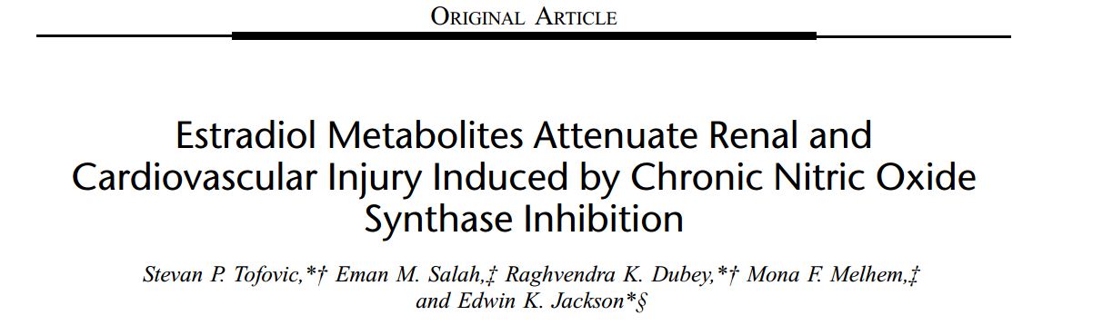 Estradiol metabolites attenuate renal and cardiovascular injury induced by chronic nitric oxide synthase inhibition
