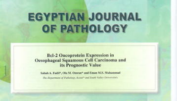 Immunohistochemical expression of bcl-2 in normal, dysplastic, pre-invasive and invasive oesophageal squamous cell carcinoma and its prognostic value