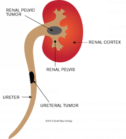 urology department clinic