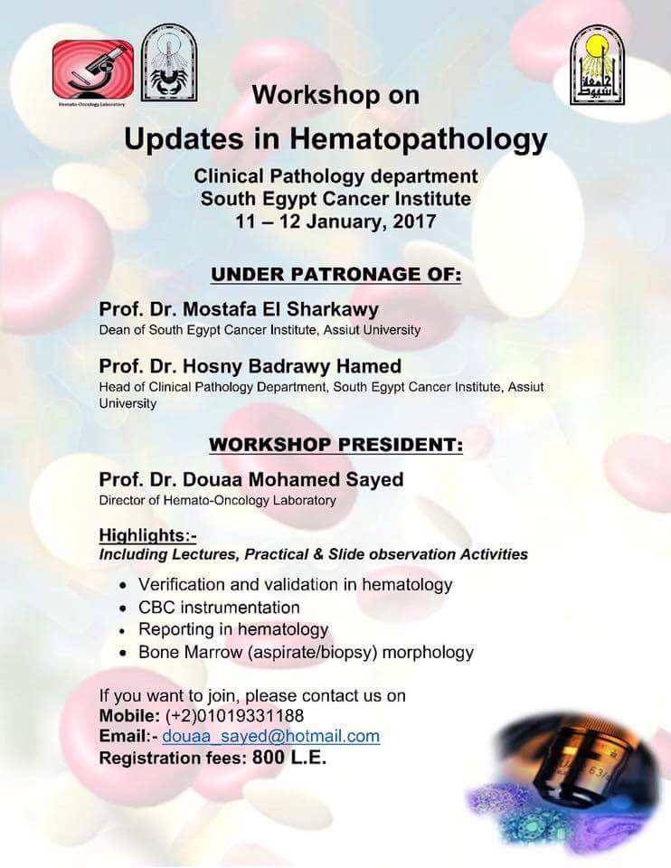 Workshop in hematopathology