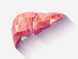 Seroprevalence and Associated Risk Factors for Hepatitis A Among School-Age Children in Sohag Governorate, Upper Egypt
