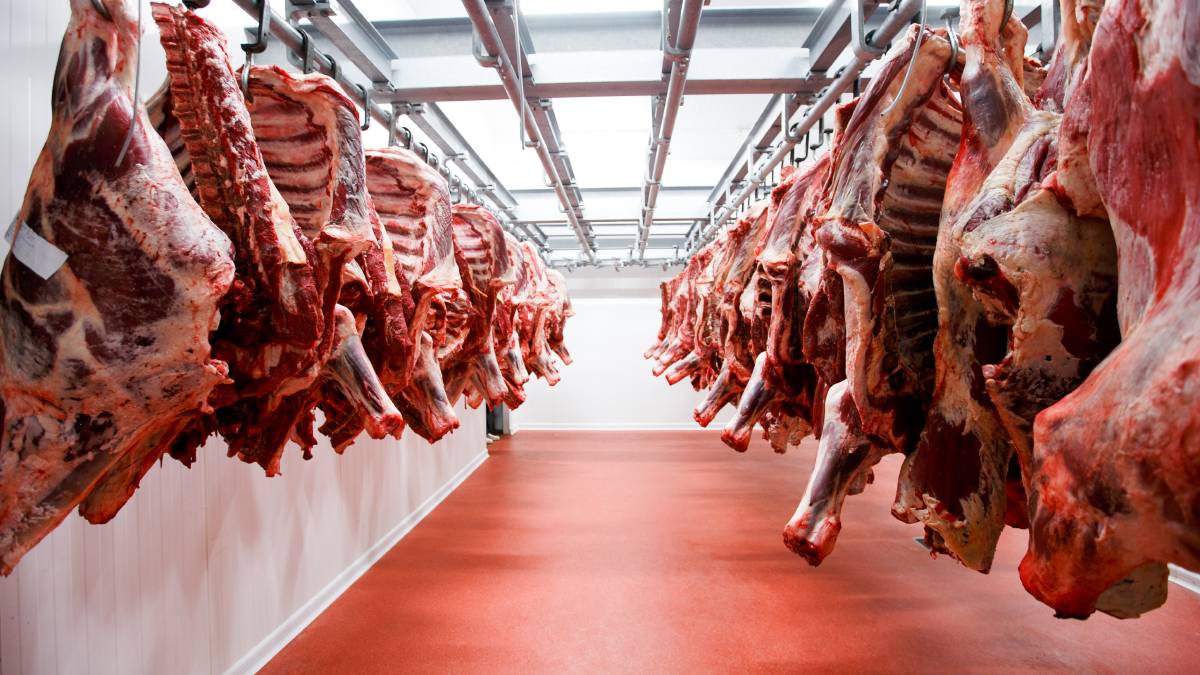 1.	Lead and Cadmium in Meat and Some Edible Offal of Slaughtered Cattle in Qena Abattoir