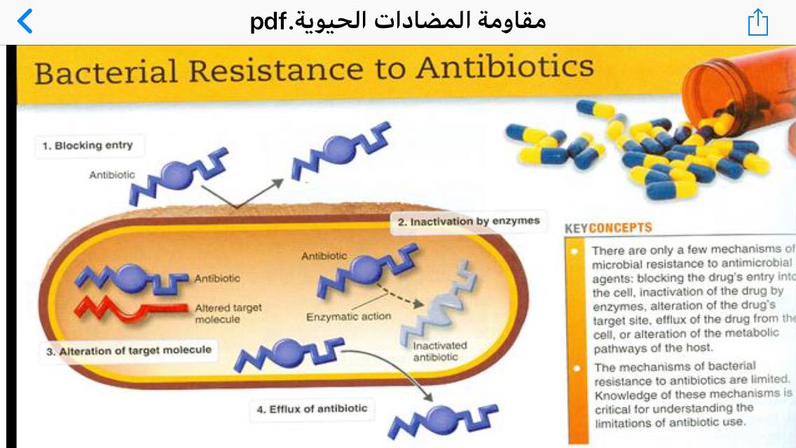 آليات مقاومة البكتريا للمضادات الحيوية Bacterial Resistance to Antibiotics