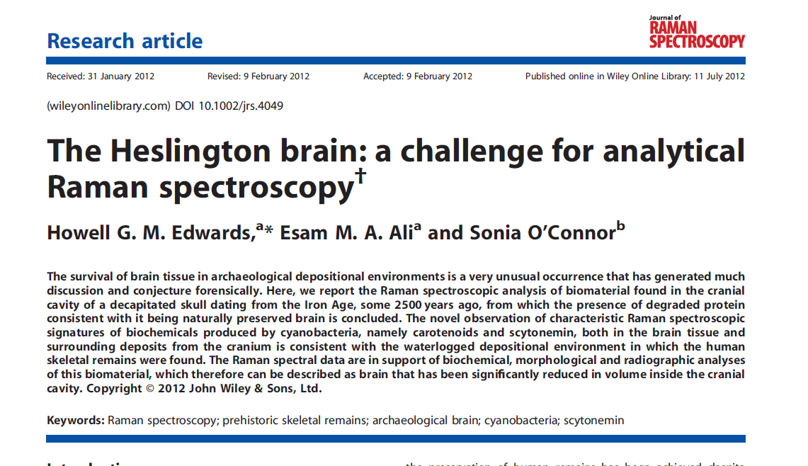 The Heslington brain: a challenge for analytical Raman spectroscopy
