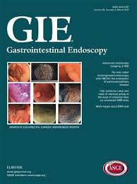 New Method for Better Detection and Visualization of Vascular and Non-vascular Lesions of Small Bowel by Using Blue Mode Viewing: Capsule Endoscopy Study