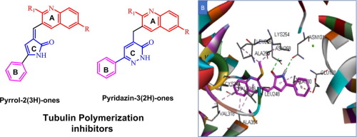 Novel Pyrrol-2(3 H )-ones and Pyridazin-3(2 H )-ones Carrying Quinoline Scaffold as Anti-proliferative Tubulin Polymerization Inhibitors
