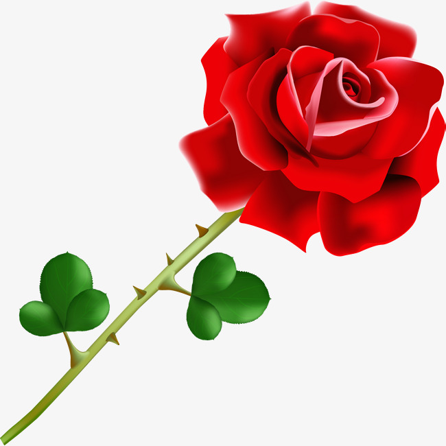 شكراً طلاب جامعة سوهاج