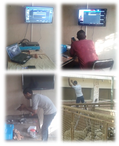 تركيب وتشغيل وحدة مراقبة سلوك الحيوان بمزرعة الأغنام البحثية والإنتاجية التابعة لكلية الزراعة جامعة سوهاج بمدينة الكوثر