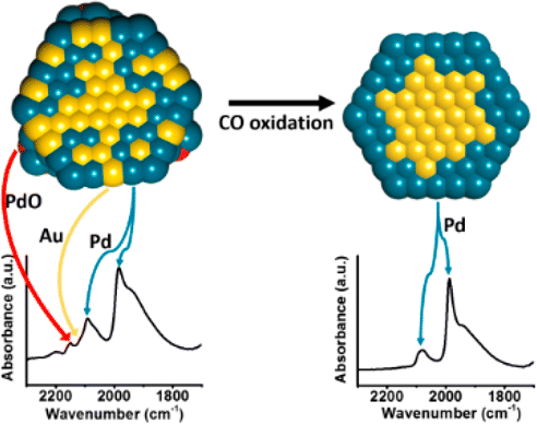 Restructuring of AuPd Nanoparticles Studied by a Combined XAFS/DRIFTS Approach